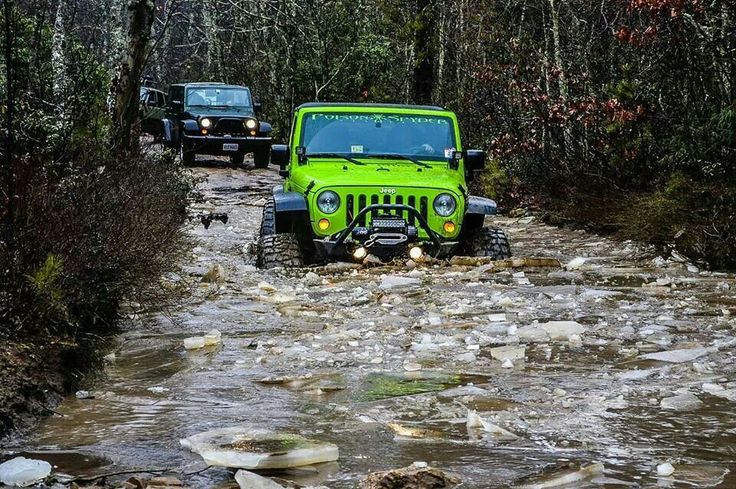 Jeep - cute picture
