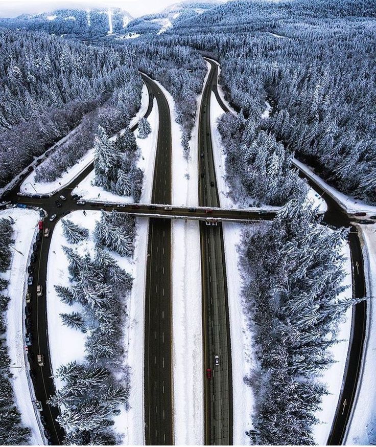Road - cool picture
