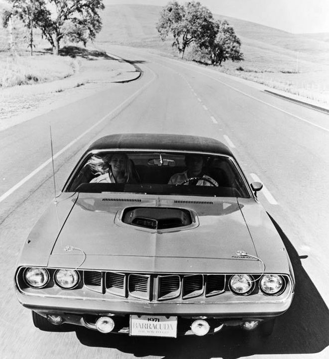 Muscle car - fine picture