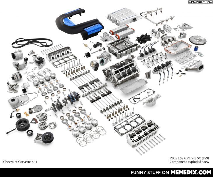 Muscle car
 - cute image
