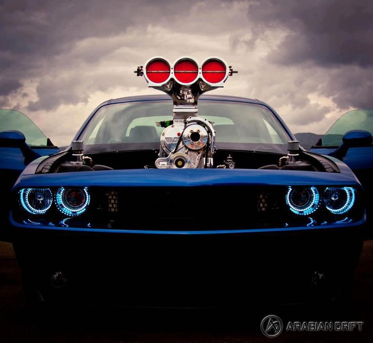 Muscle car
 - cute picture
