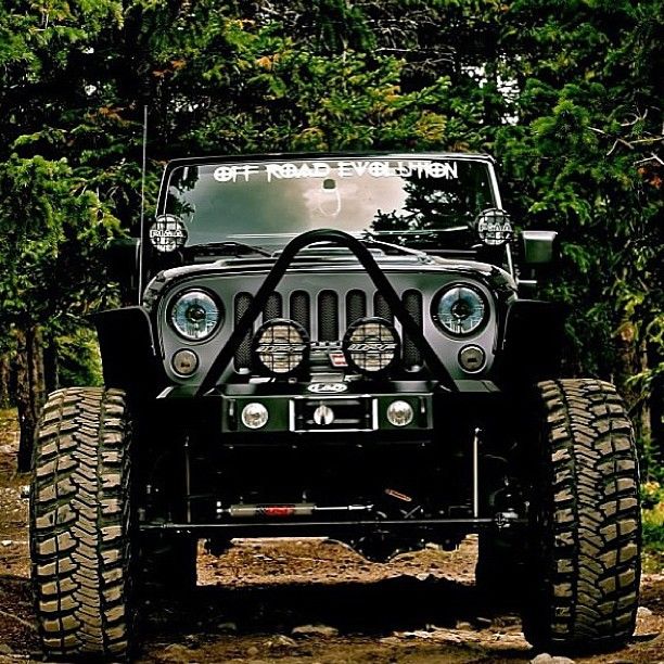 Jeep - nice photo
