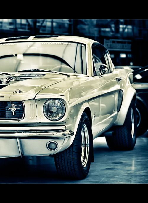 Muscle car
 - good picture
