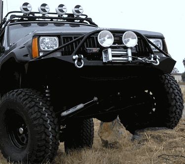 Jeep - cute photo
