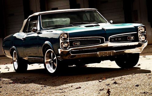 Muscle car
 - cute image
