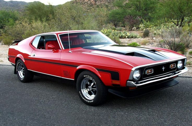 Muscle car
 - cute picture

