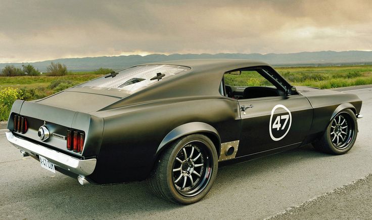 Muscle car
 - cute image
