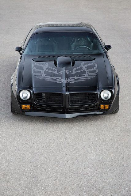 Muscle car
 - good photo
