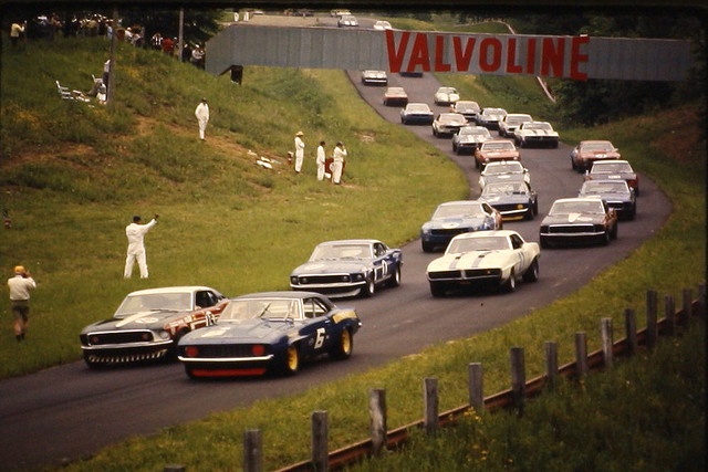 Muscle automobile
 - cute photo
