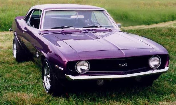 Muscle car
 - cute picture
