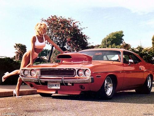 Muscle car
 - cute picture
