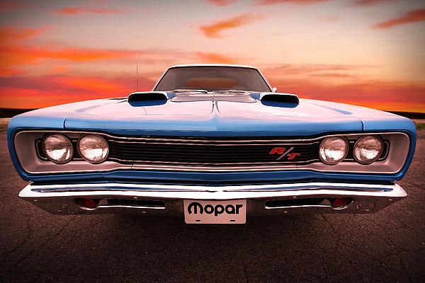 Muscle car
 - cute photo
