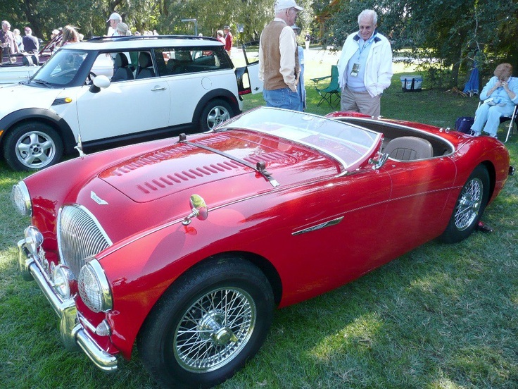 Auto
 - cute picture
