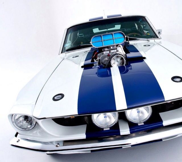 Muscle car
 - fine picture
