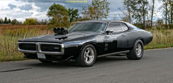 Muscle automobile
 - cute photo
