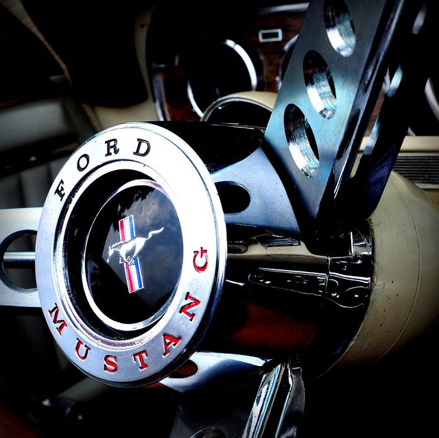 Muscle car
 - cute image
