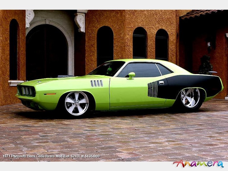 Muscle car
 - cute photo
