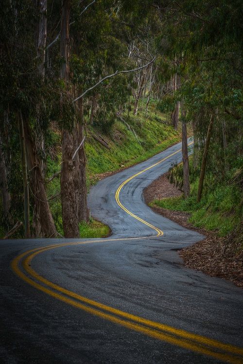 Road - nice picture
