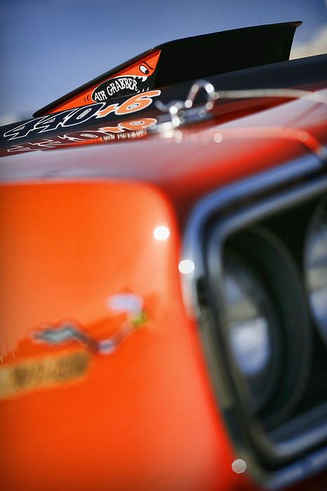 Muscle auto - cute photo
