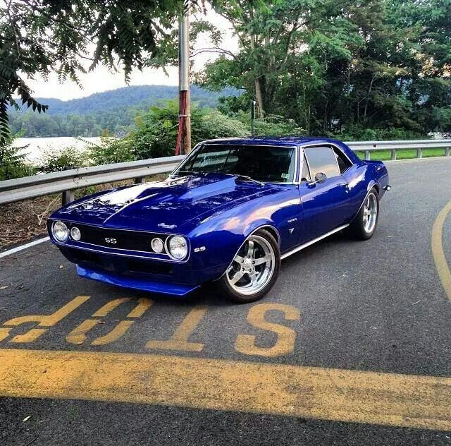 Muscle car
 - fine image
