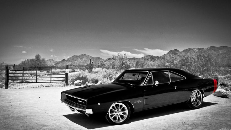 Muscle car
 - nice image
