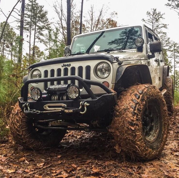 Jeep - cute photo