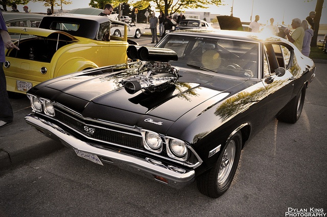 Muscle automobile
 - fine picture
