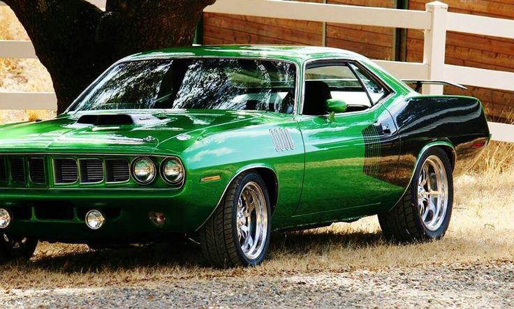 Muscle car
 - fine picture
