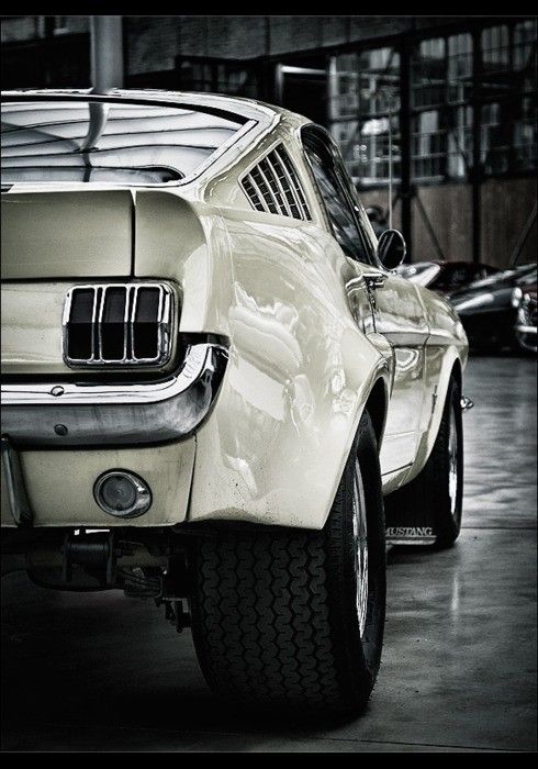 Muscle automobile
 - picture
