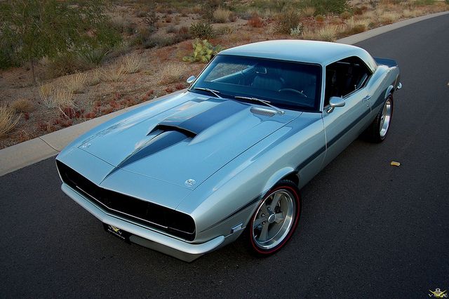 Muscle auto - cute picture
