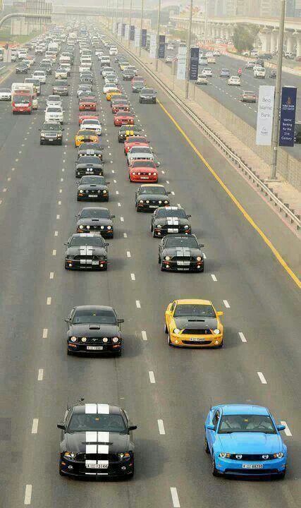 Muscle auto - super photo
