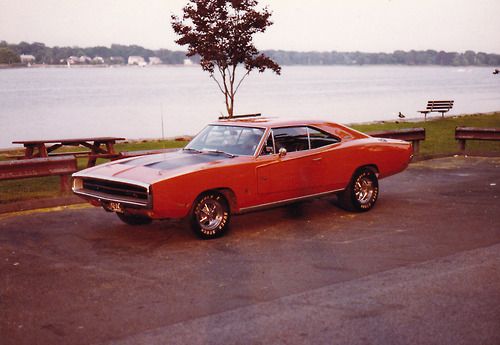 Muscle car
 - cute picture
