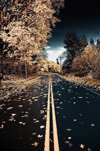 Road - super picture