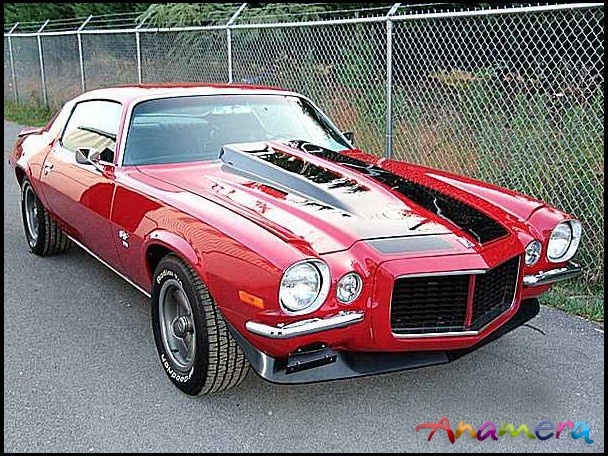 Muscle automobile
 - cool image
