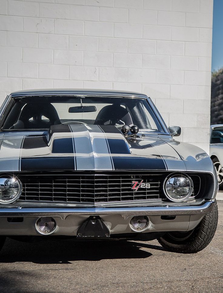 Muscle automobile
 - cute photo
