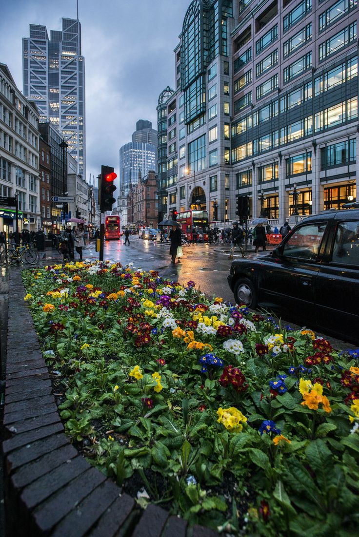 Road - super picture