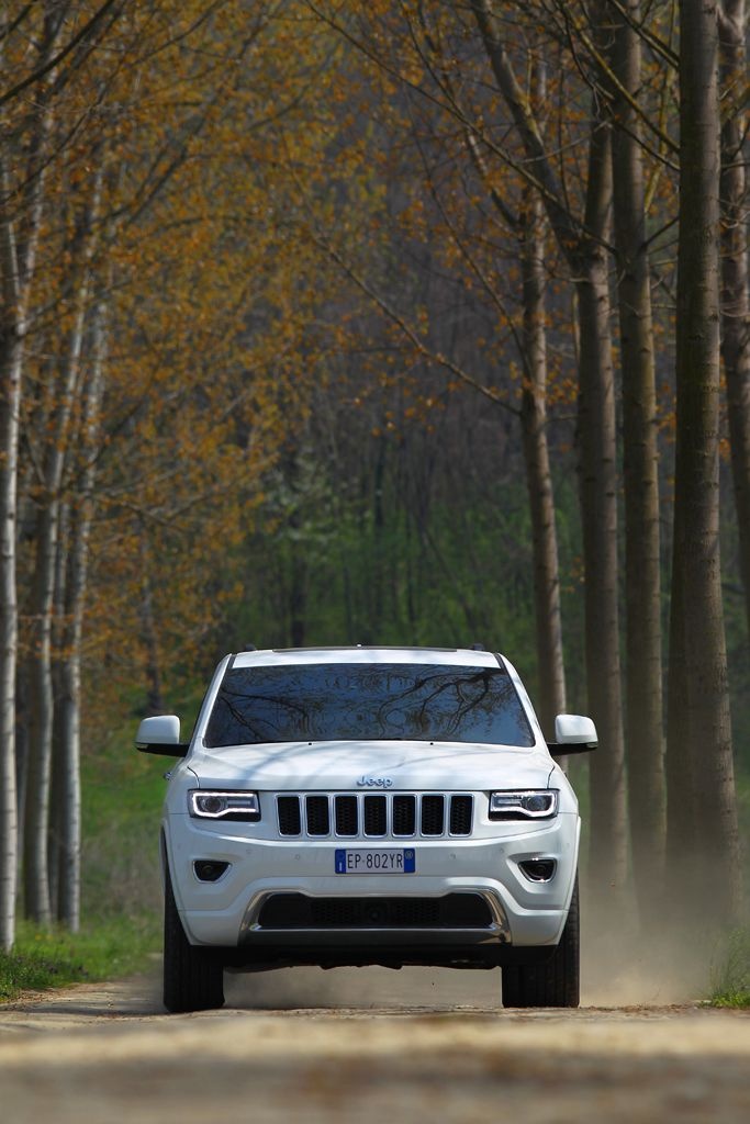 Jeep - picture
