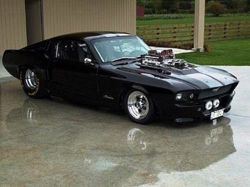 Muscle automobile
 - cool picture
