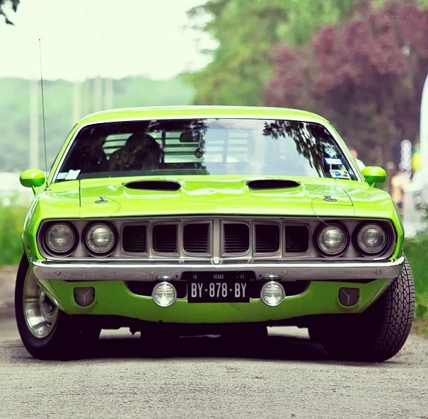 Muscle auto - super picture