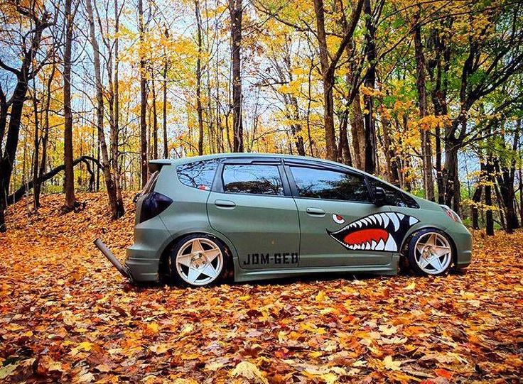 Hatchback
 - cute picture
