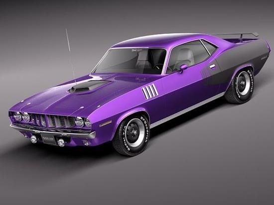 Muscle car
 - cute photo
