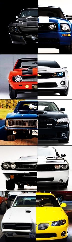 Muscle car
 - cute picture
