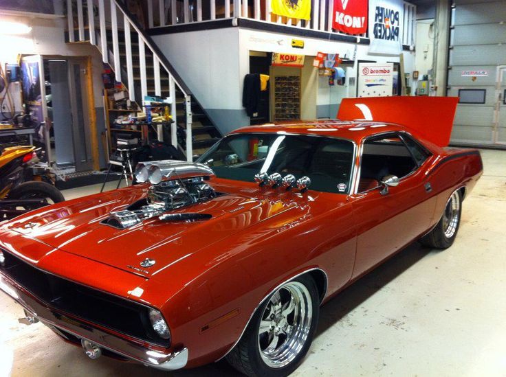 Muscle car
 - nice photo
