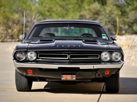 Muscle car - picture