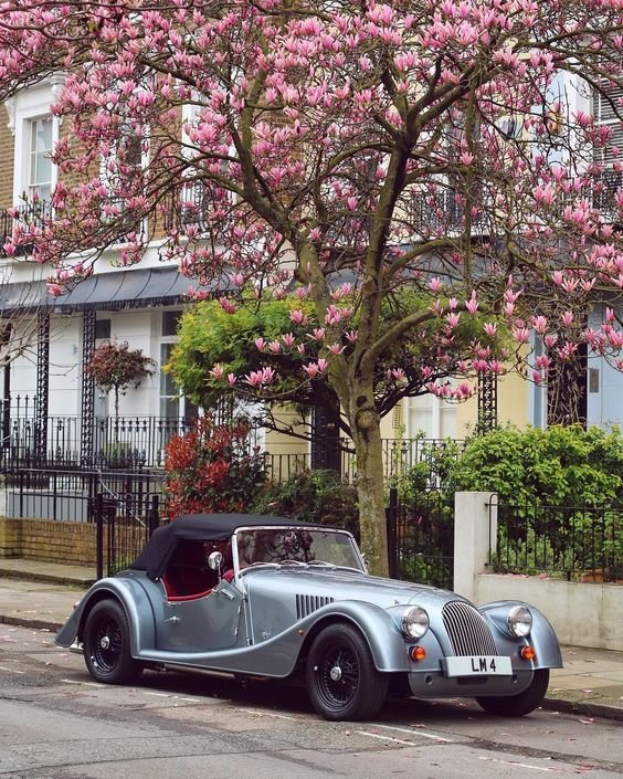 Retro car - irresistible photo