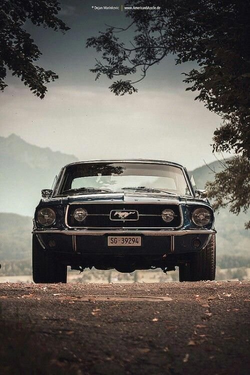 Retro car - gorgeous picture